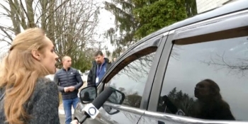 наїзд на журналістку