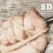 «Наша зброя – слово» - презентовано книжку «Я журналіст. Чому ви мене б’єте?» 24 «Наша зброя – слово» – презентовано книжку «Я журналіст. Чому ви мене б’єте?»