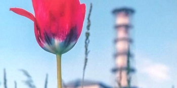 Полинова пам’ять. Скорботна дата 26 квітня