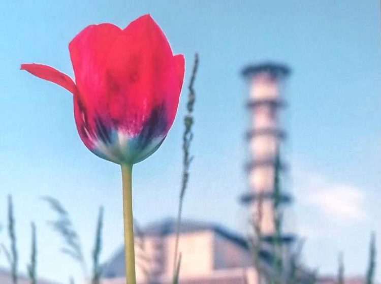 Полинова пам’ять. Скорботна дата 26 квітня 17 Полинова пам’ять. Скорботна дата 26 квітня