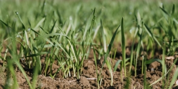 КЖЕ та «Екодія» проводять опитування журналістів на тему екології та зміни клімату