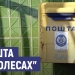 «Читачі відмовляються від газет, бо не впевнені у поштовій доставці», - редактори б’ють на сполох 22 «Читачі відмовляються від газет, бо не впевнені у поштовій доставці», – редактори б’ють на сполох