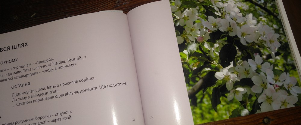 Вийшла у світ нова книга Миколи Шибика - «Оманливість простоти» 6