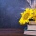 «Українським дітям − українську книгу!» 23 «Українським дітям − українську книгу!»