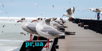 Найбільша газета Маріуполя припинила вихід і оприлюднила попередження