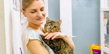 Котохаб в центрі міста: як у Черкасах рятують тварин та допомагають переселенцям із чотирилапими