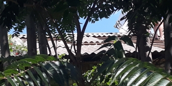 «Крім Спілки журналістів ніхто не допоміг!» – журналістка в Апостоловому відновлює житло після ракетного удару