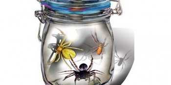 Павуки в кримській банці: радник побив екс-редактора