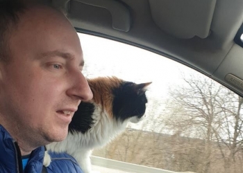 Журналіст Ілля Суздалєв: «Мої коти самі в зачиненій квартирі пережили окупацію Ірпеня» 1 Журналіст Ілля Суздалєв: «Мої коти самі в зачиненій квартирі пережили окупацію Ірпеня»