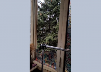 Помешкання журналістки з Дніпра втретє постраждало від російських ракетних атак