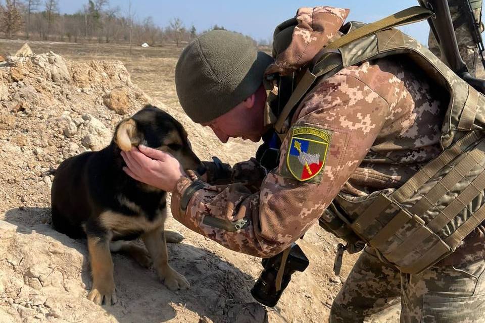 Володимир Фітьо