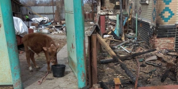 «Історії, які вражають»: проєкт «Близько до нуля» продемонстрував несподівані можливості регіональної журналістики