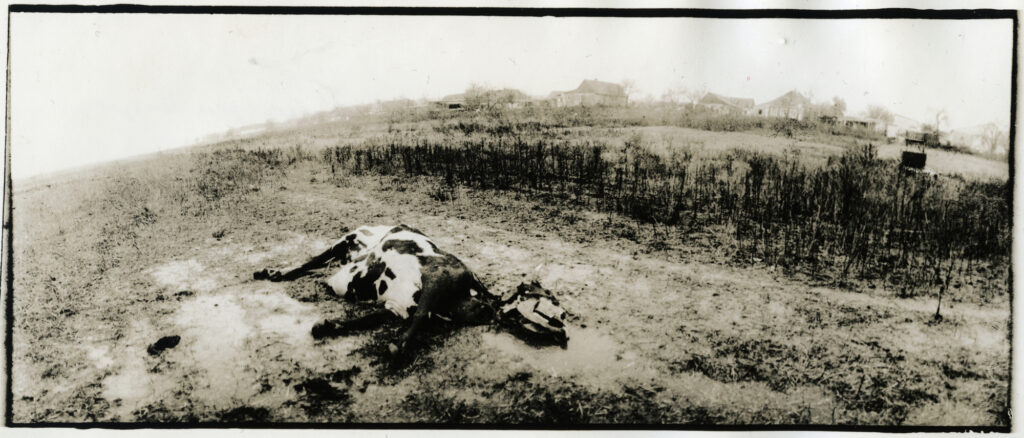 У зйомках на передовій найскладніше – отримати дозвіл: воєнний фотограф розповів як висвітлює війну 11