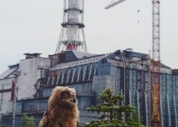  Відкрита зона