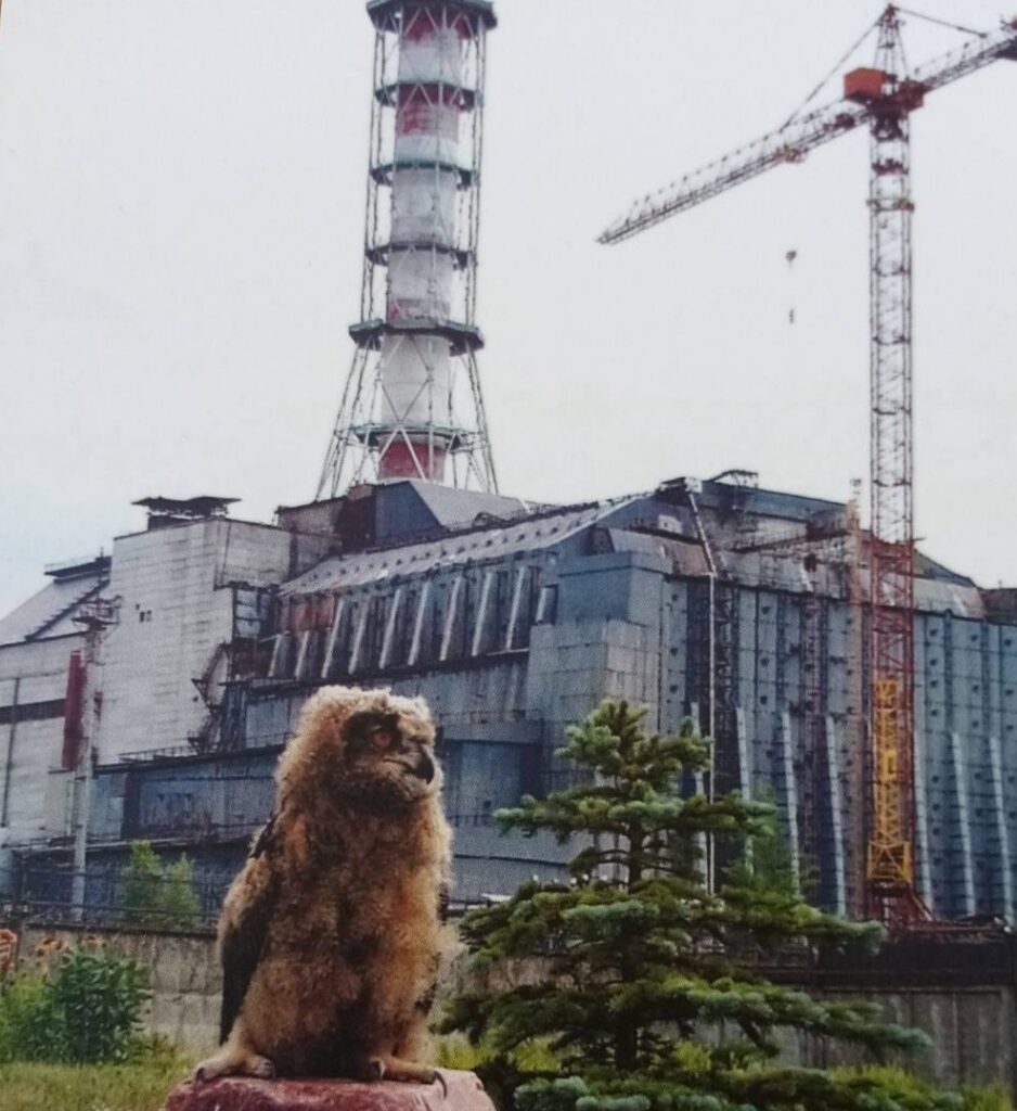  Відкрита зона