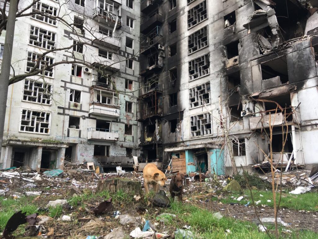 Локальна безпека — головна інформаційна потреба мешканців прифронтових територій, — дослідження НСЖУ 2