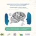 «Від локальних новин до загальноукраїнських історій», – Ліна Кущ про роль ментора у програмі «Правосуддя у фокусі медіа»