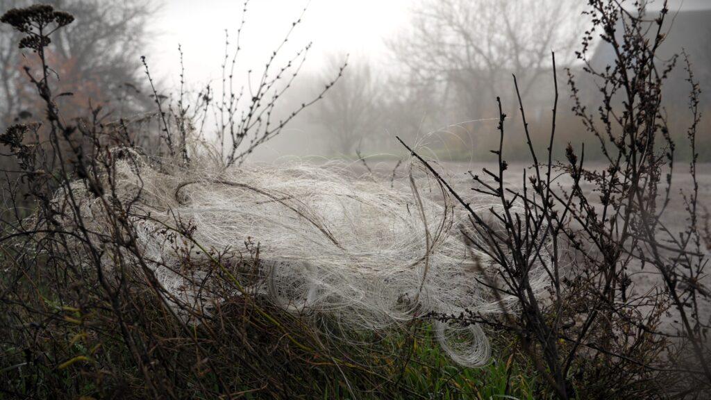 Загроза з неба, або чому детектори дронів стали критичною необхідністю для журналістів 27 Загроза з неба, або чому детектори дронів стали критичною необхідністю для журналістів 10