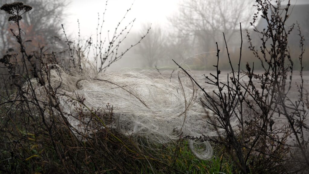 Медійник, а нині військовий Артем Листопад: «Медійна складова важлива для війська» 19 Медійник, а нині військовий Артем Листопад: «Медійна складова важлива для війська» 2