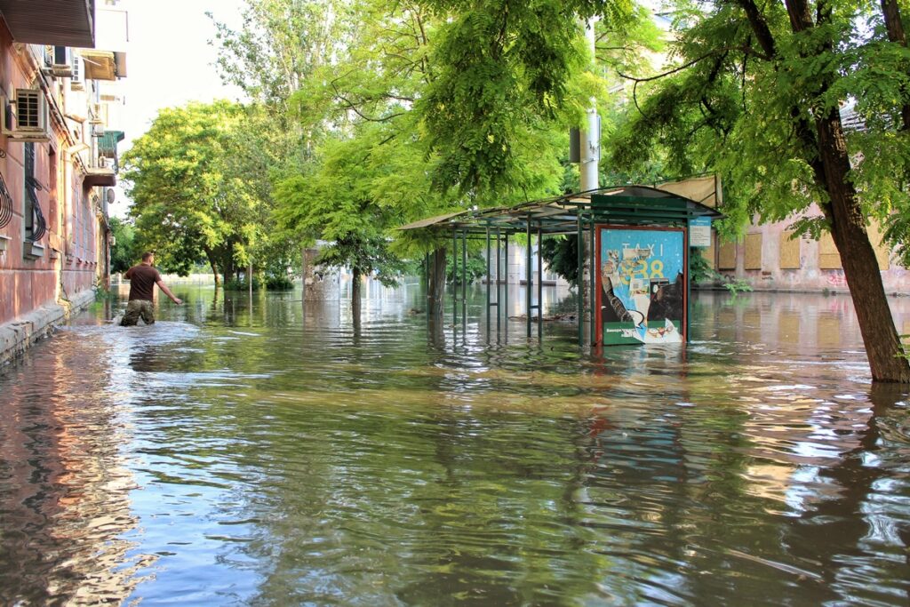 «Ми готові створювати життя на руїнах»: історія херсонської журналістки Олени Гнітецької 11