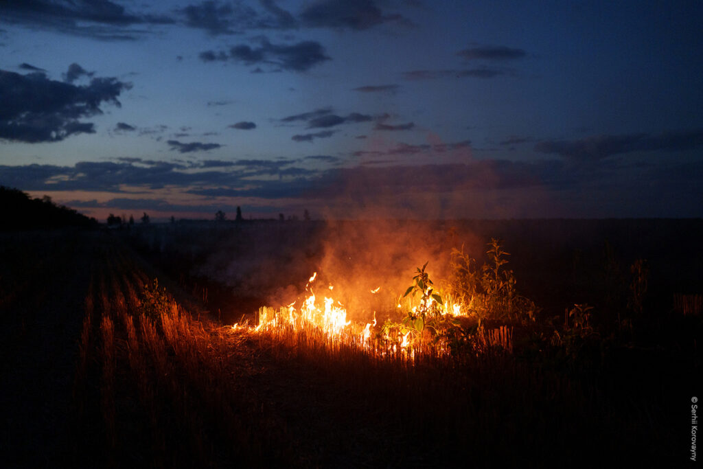 Європарламент: «Óбрази говорять самі за себе» 7