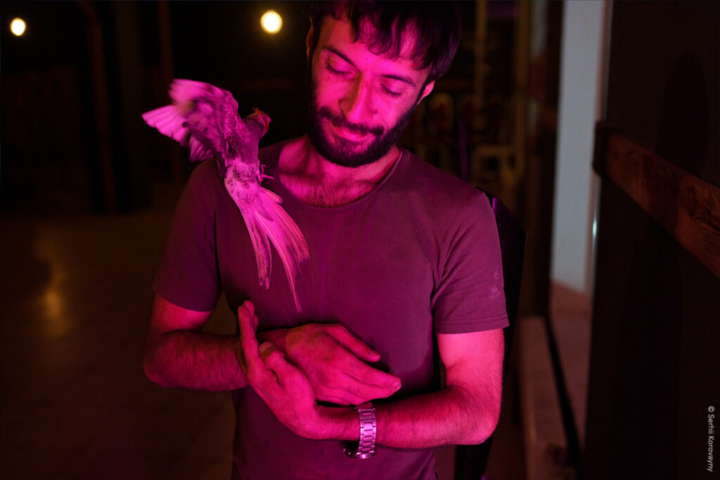 Європарламент: «Óбрази говорять самі за себе» 5