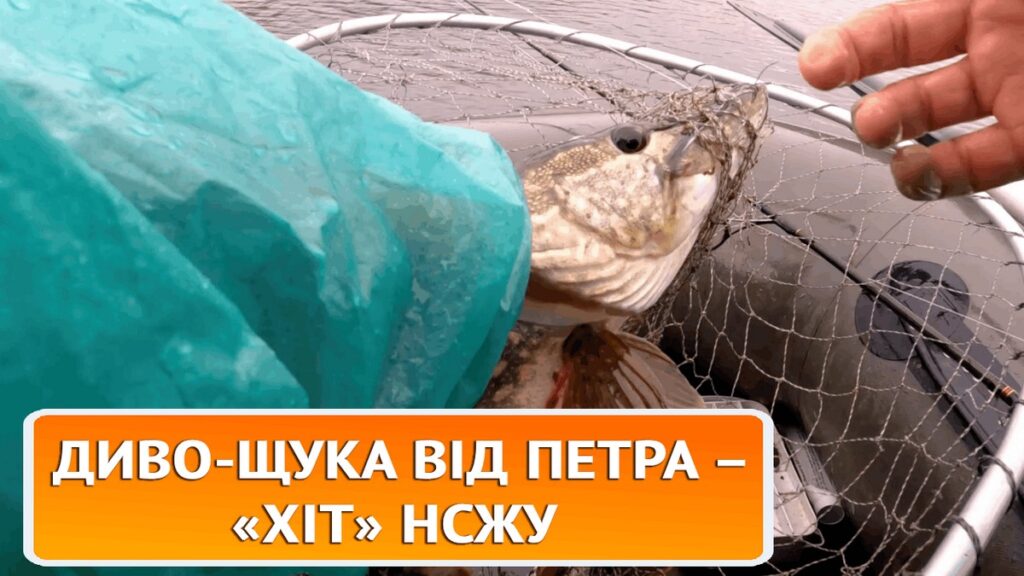  56 років риболовлі… у вільний від журналістики час – ХіТ НСЖУ