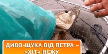  56 років риболовлі… у вільний від журналістики час – ХіТ НСЖУ