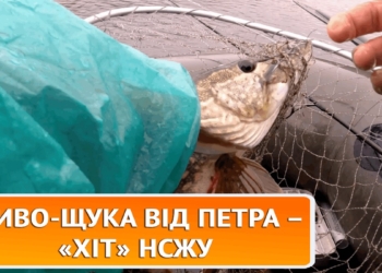  56 років риболовлі… у вільний від журналістики час – ХіТ НСЖУ