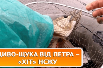  56 років риболовлі… у вільний від журналістики час – ХіТ НСЖУ