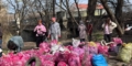 «Рожева толока»: медійники долучилися до великого прибирання у прифронтовому Запоріжжі