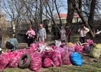 «Рожева толока»: медійники долучилися до великого прибирання у прифронтовому Запоріжжі