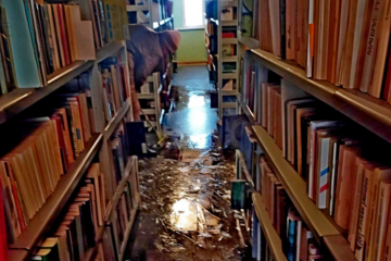 Книжкова палата України рятує 15 мільйонів видань після російських обстрілів