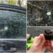 Авто журналістки з Херсона пошкоджене через атаку дрона 24 Авто журналістки з Херсона пошкоджене через атаку дрона