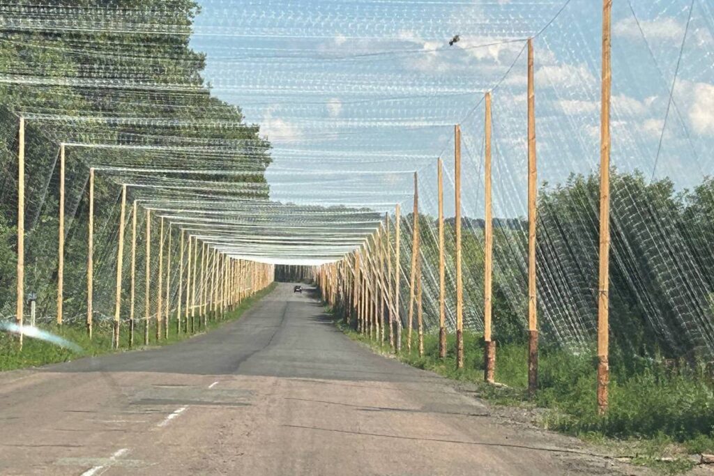 «Дрони щодня палять автівки», – редакторка «Білопільщини» про роботу між прифронтовим Білопіллям і Сумами 6