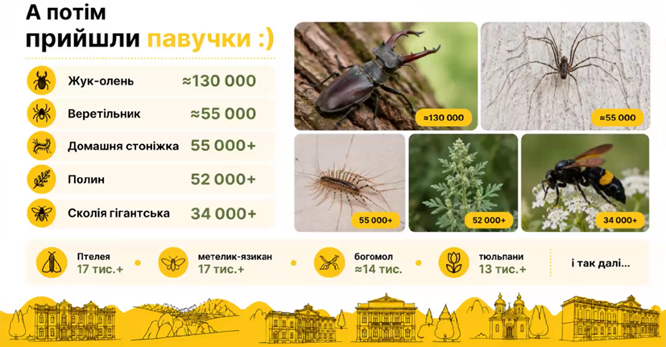 «Що буде, якщо спробувати інакше»: п’ять редакцій про жуків-оленів, зустрічі полонених і ціну виживання 19 «Що буде, якщо спробувати інакше»: п’ять редакцій про жуків-оленів, зустрічі полонених і ціну виживання 2