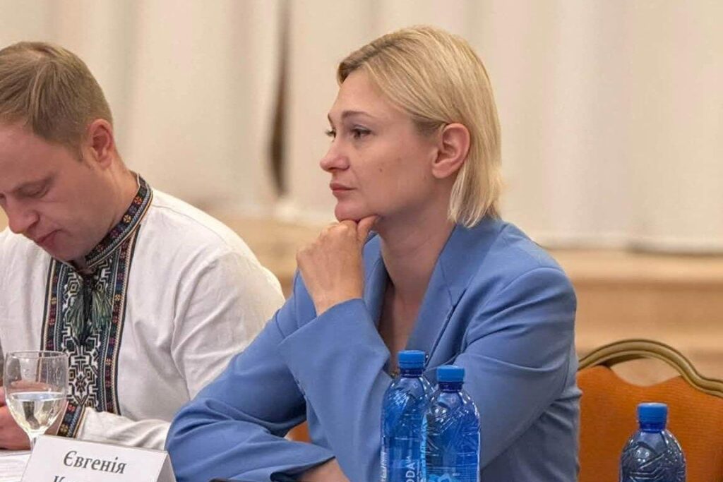 Дрони, окупація, знищені редакції: журналісти розповіли парламентарям, як війна змінює роботу медіа 15